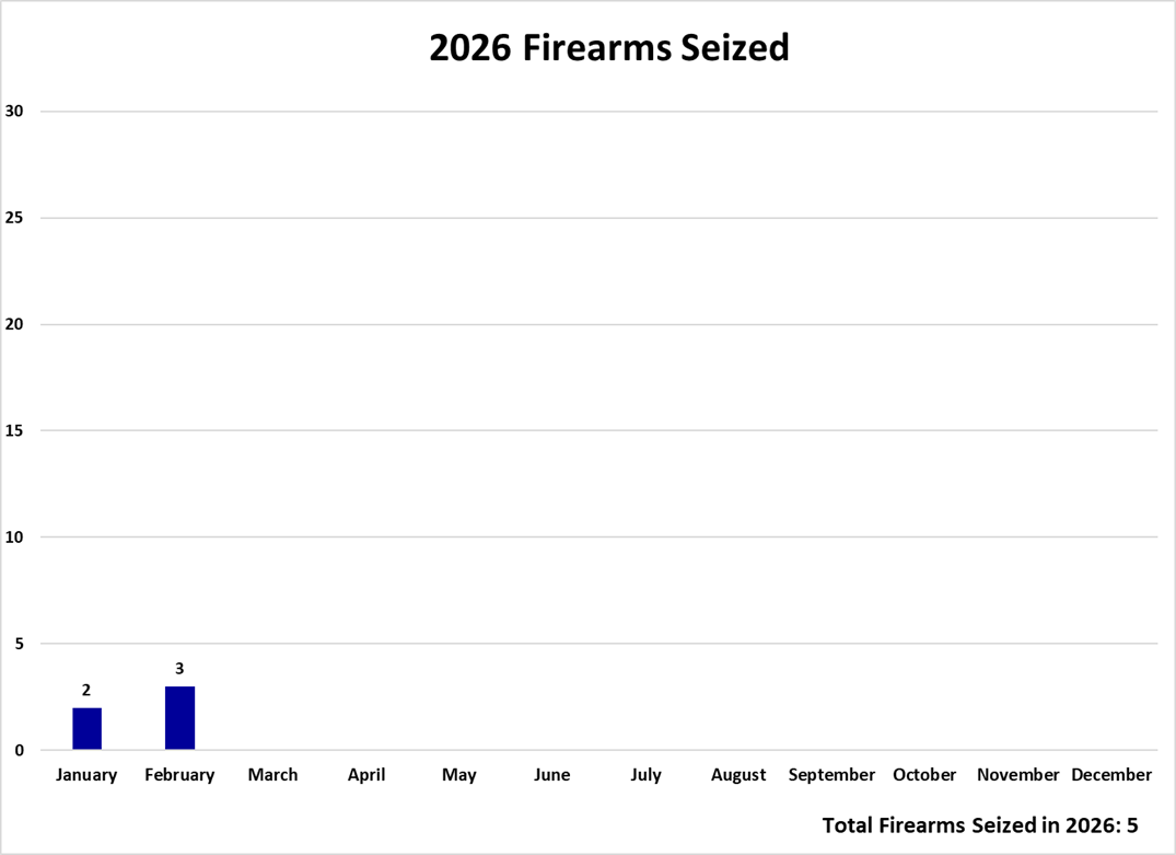 Total firearms seized in 2026, by month
