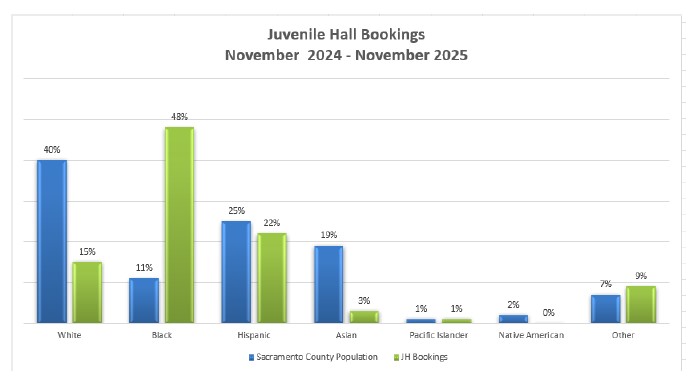 Youth Detention Facility - booking stats by population