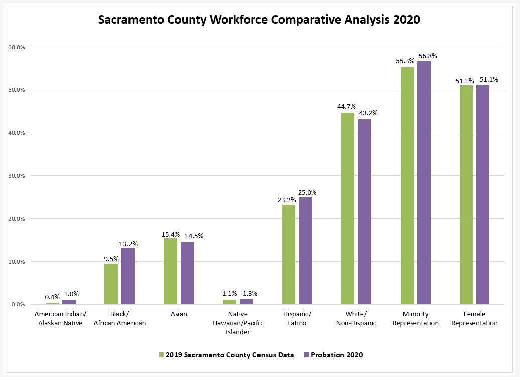 2018 IMAGE Workforce Comparative Analysis Graph (County 2010 Probation 2017).png