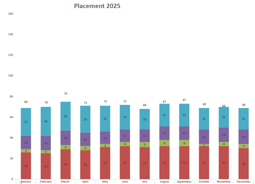 Chart showing number of individuals​​​ who are under juvenile placement by month