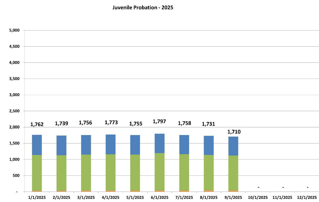 Chart showing number of individuals​​​ who are under juvenile probation by month