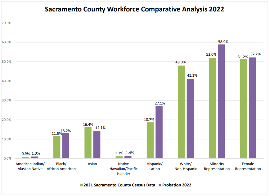 Workforce Comparative Analysis - 2022