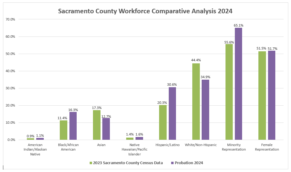 Workforce Comparative Analysis - 2024