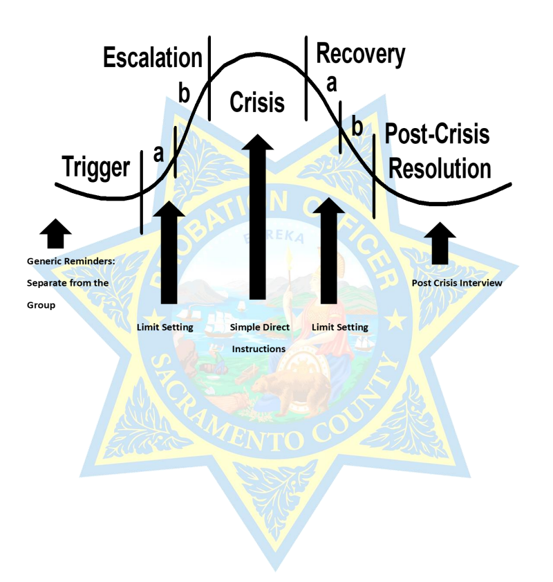 Crysis cycle: trigger, escalation, crisis, recovery, post-crisis resolution